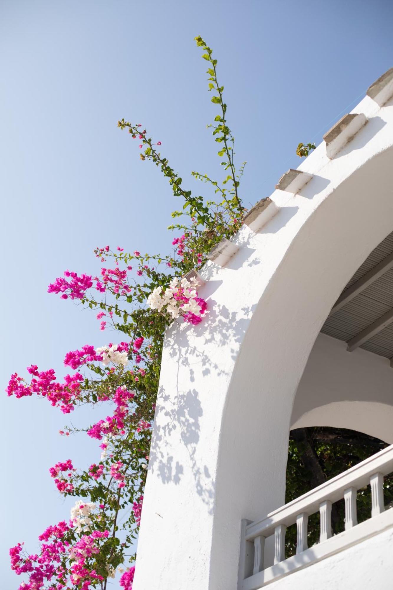 Apostolis Windmill Apartment ซารู ภายนอก รูปภาพ